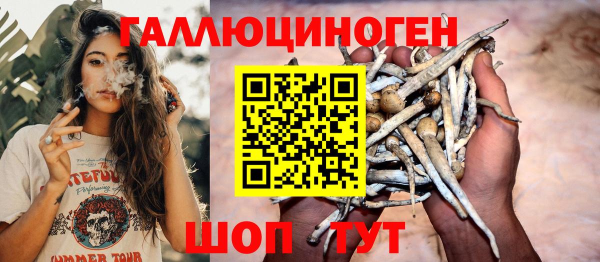 Галлюциногенные грибы MAGIC MUSHROOMS Отрадный