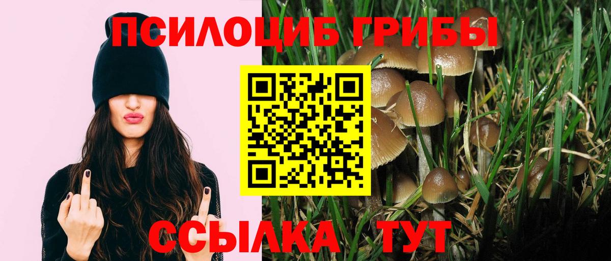Отрадный  Псилоцибиновые грибы Psilocybine cubensis  Вход с VPN 